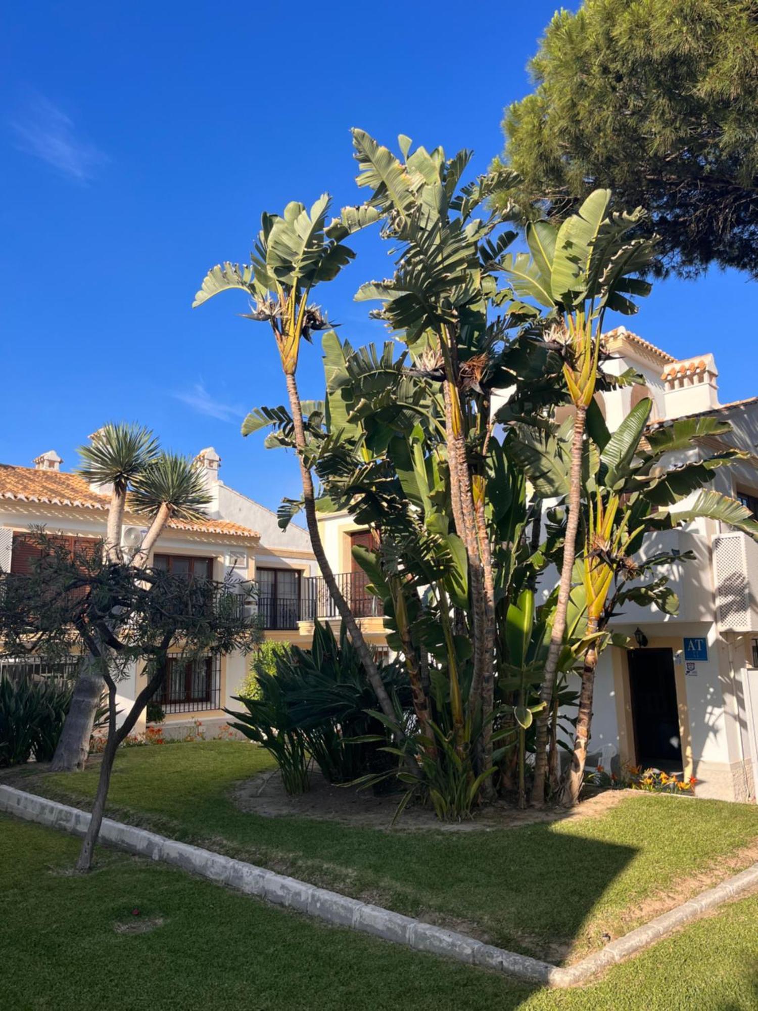 Apartamento Esquina Verde En Vera Coast Playas de Vera Exterior foto